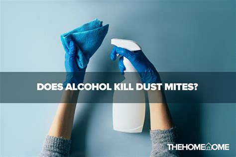 do alcohol kill dust mites