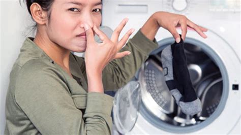 Do All Front Loading Washers Smell