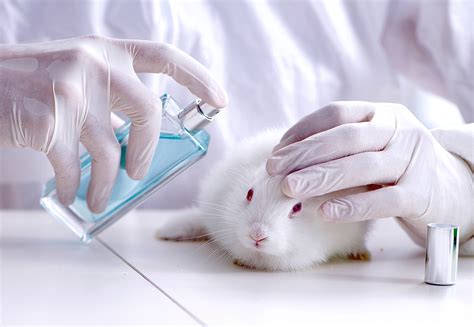 Do Animal Testing Free