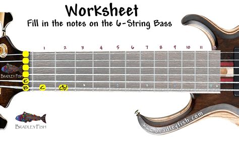 Do Bass Guitar Strings