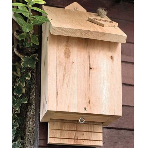 Do Bats Use Bat Boxes