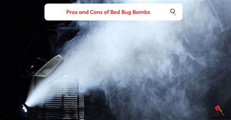 Do Bed Bug Smoke Bombs Work