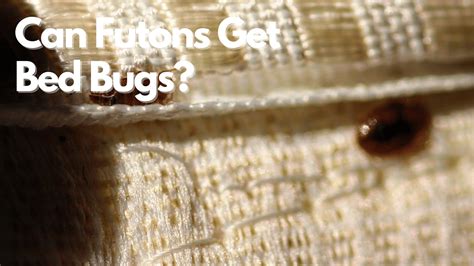 Do Bed Bugs Get In Futons
