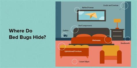 Do Bed Bugs Hide In Appliances