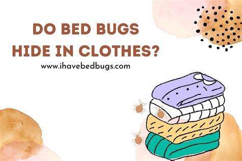 Do Bed Bugs Hide In Laundry