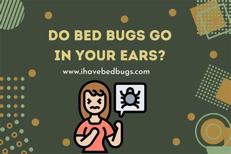 Do Bed Bugs Infest Ears