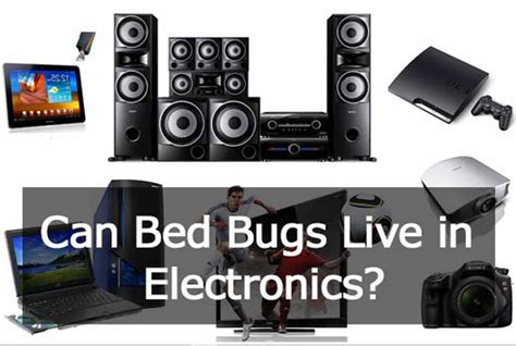 Do Bed Bugs Live In Tvs