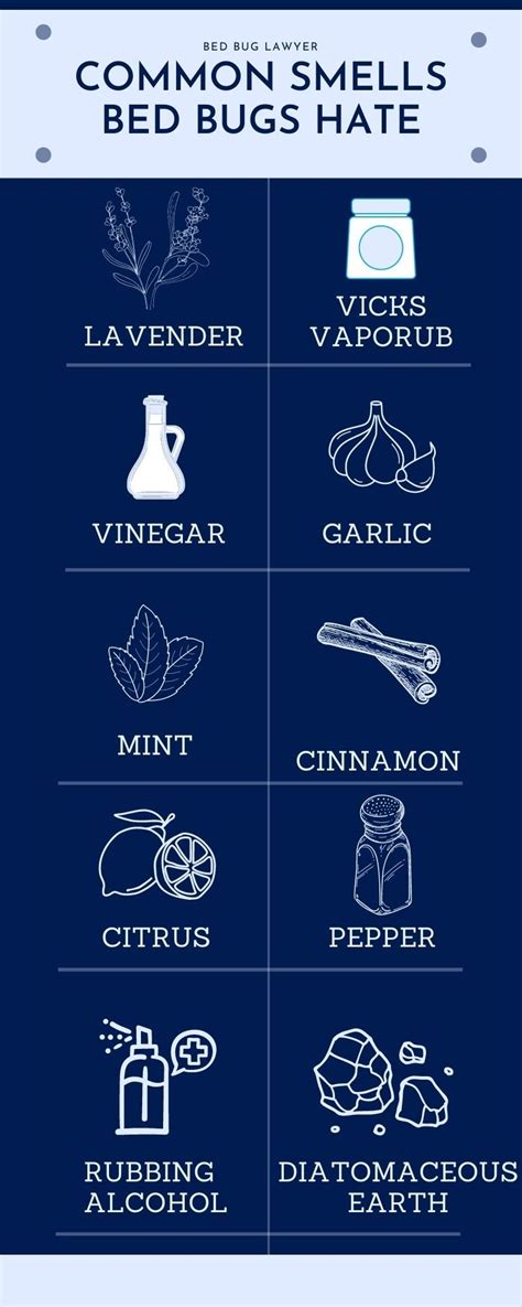 Do Bed Bugs Smell Bad