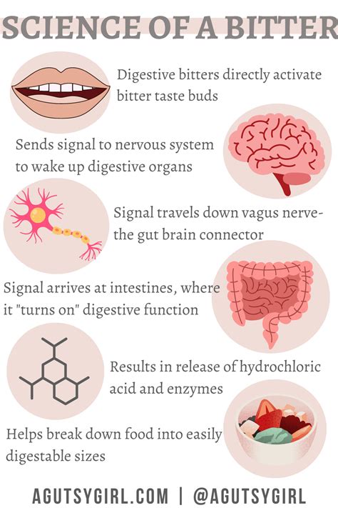 Do Bitters Help Digestion