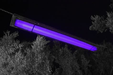 Do Black Lights Exist