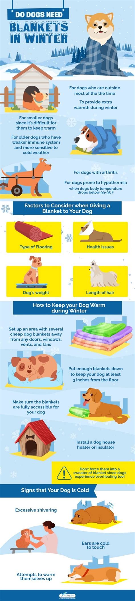 Do Blankets Help Keep Dogs Warm