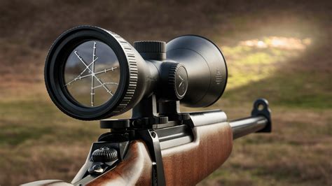 Do Bore Sights Really Work