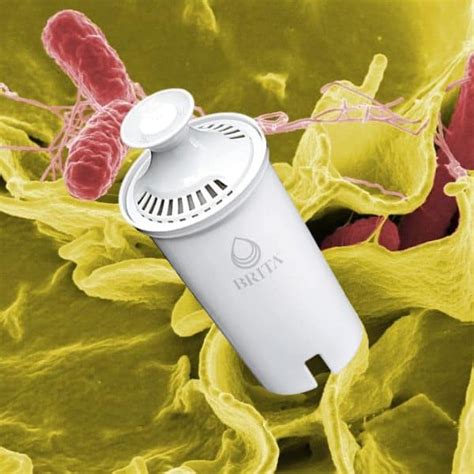 Do Brita Filters Kill Bacteria