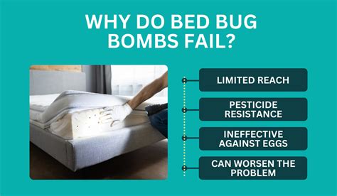 Do Bug Bombs Cause Cancer