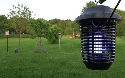 Do Bug Zappers Kill Horse Flies