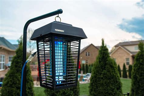 Do Bug Zappers Kill Sweat Bees