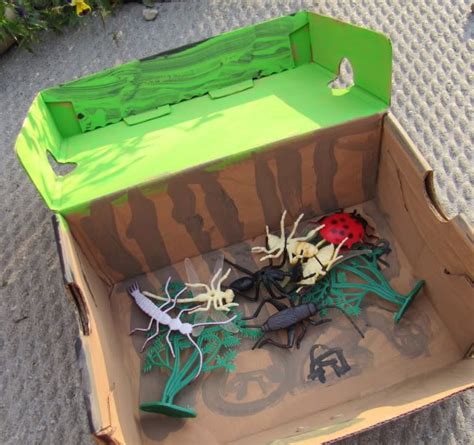 Do Bugs Live In Cardboard Boxes