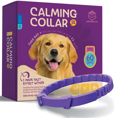 Do Calming Collars Actually Work