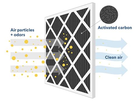 Do Carbon Filters Remove Odor