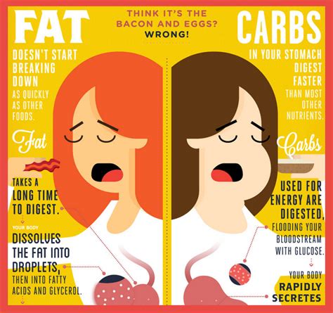 Do Carbs Burn Fat