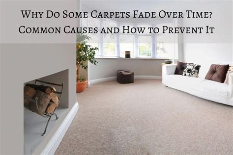 Do Carpet Stains Fade Over Time