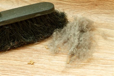 Do Carpets Create Dust