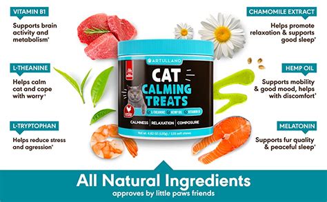 Do Cat Calming Chews Work