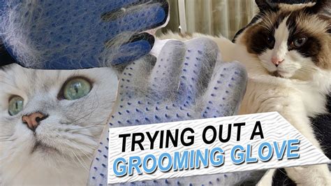 Do Cat Grooming Gloves Work