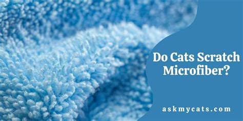 Do Cats Like To Scratch Microfiber