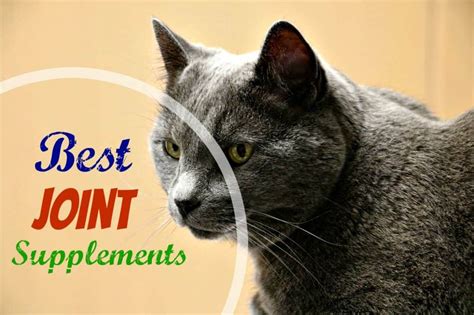 Do Cats Need Joint Supplements
