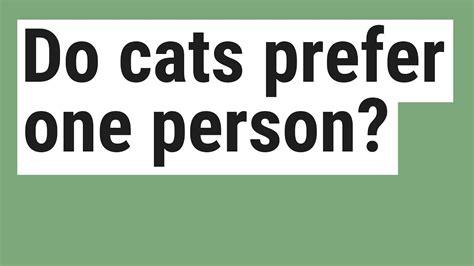 do cats prefer one person