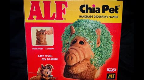 Do Chia Pets Die