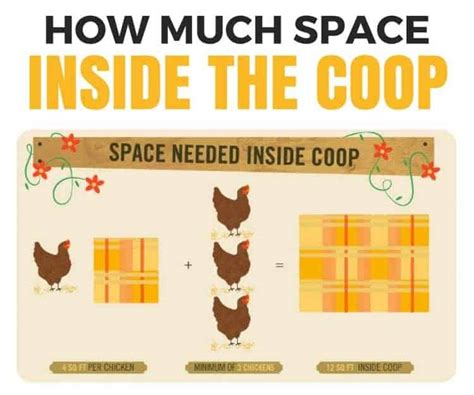 Do Chickens Need Copper