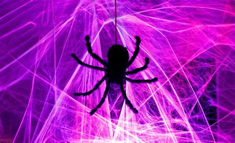 Do Colored Led Lights Attract Spiders