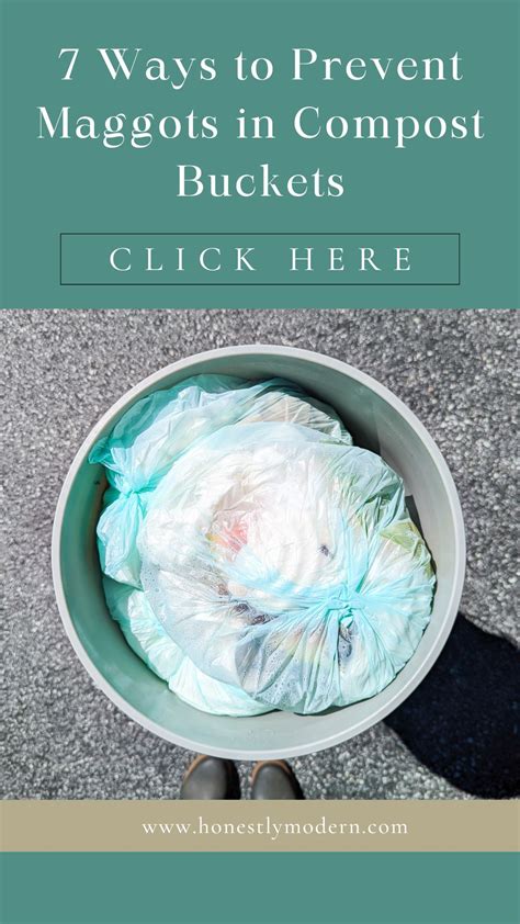 Do Compost Bins Get Maggots