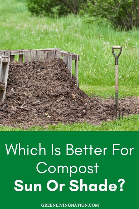 Do Compost Bins Need Full Sun