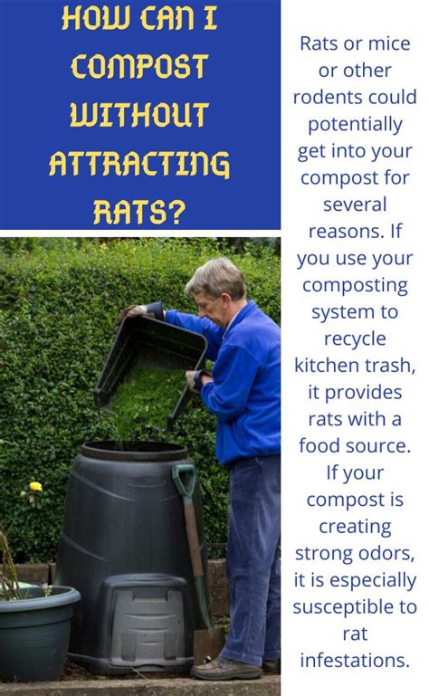 Do Compost Heaps Attract Mice