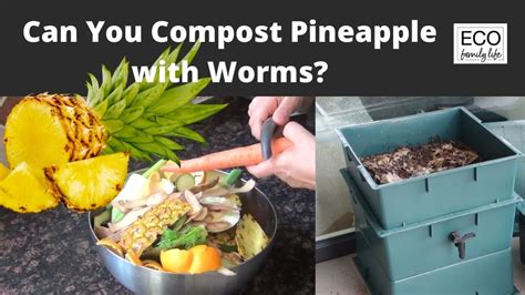Do Compost Worms Like Pineapple