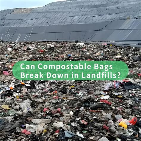 Do Compostable Items Break Down In Landfills