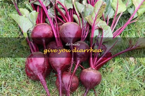 Do Cooked Beets Cause Diarrhea