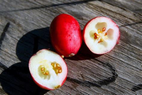 do cranberries have a pit