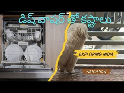 Do Dishwashers Clean Well