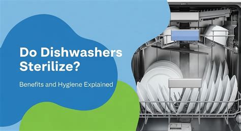 do dishwashers sanitize