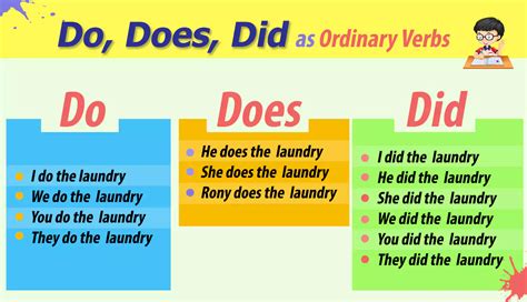 do does did rules with examples