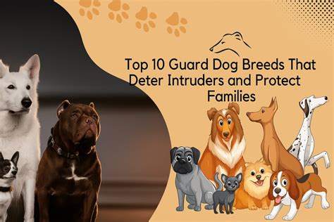 Do Dogs Deter Intruders