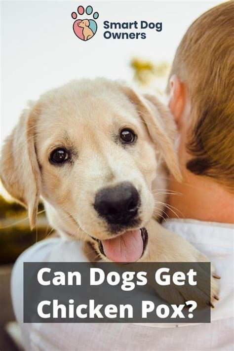 do dogs get chicken pox