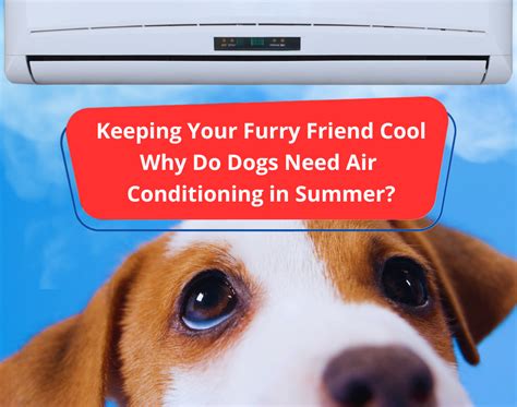 Do Dogs Need Air Conditioning