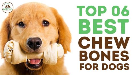Do Dogs Need Bones To Chew