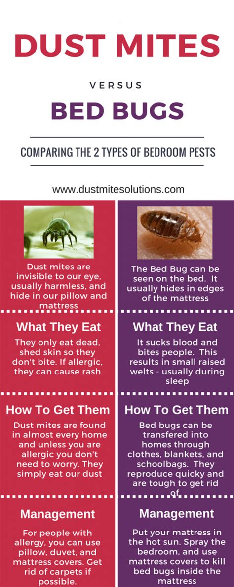 Do Dust Mites Bite At Night