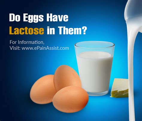 Do Eggs Have Lactose
